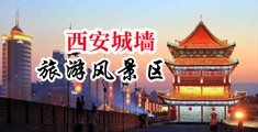 非洲男人床上猛插美女穴视频中国陕西-西安城墙旅游风景区