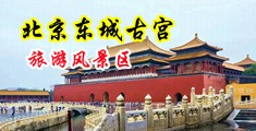 男人把鸡插进女人逼里视频中国北京-东城古宫旅游风景区