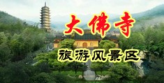 污的软件可以看女生的小穴和胸部中国浙江-新昌大佛寺旅游风景区